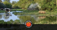The Benefits of Rewilding 