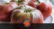 A Guide to Our Favourite Tomato Varieties