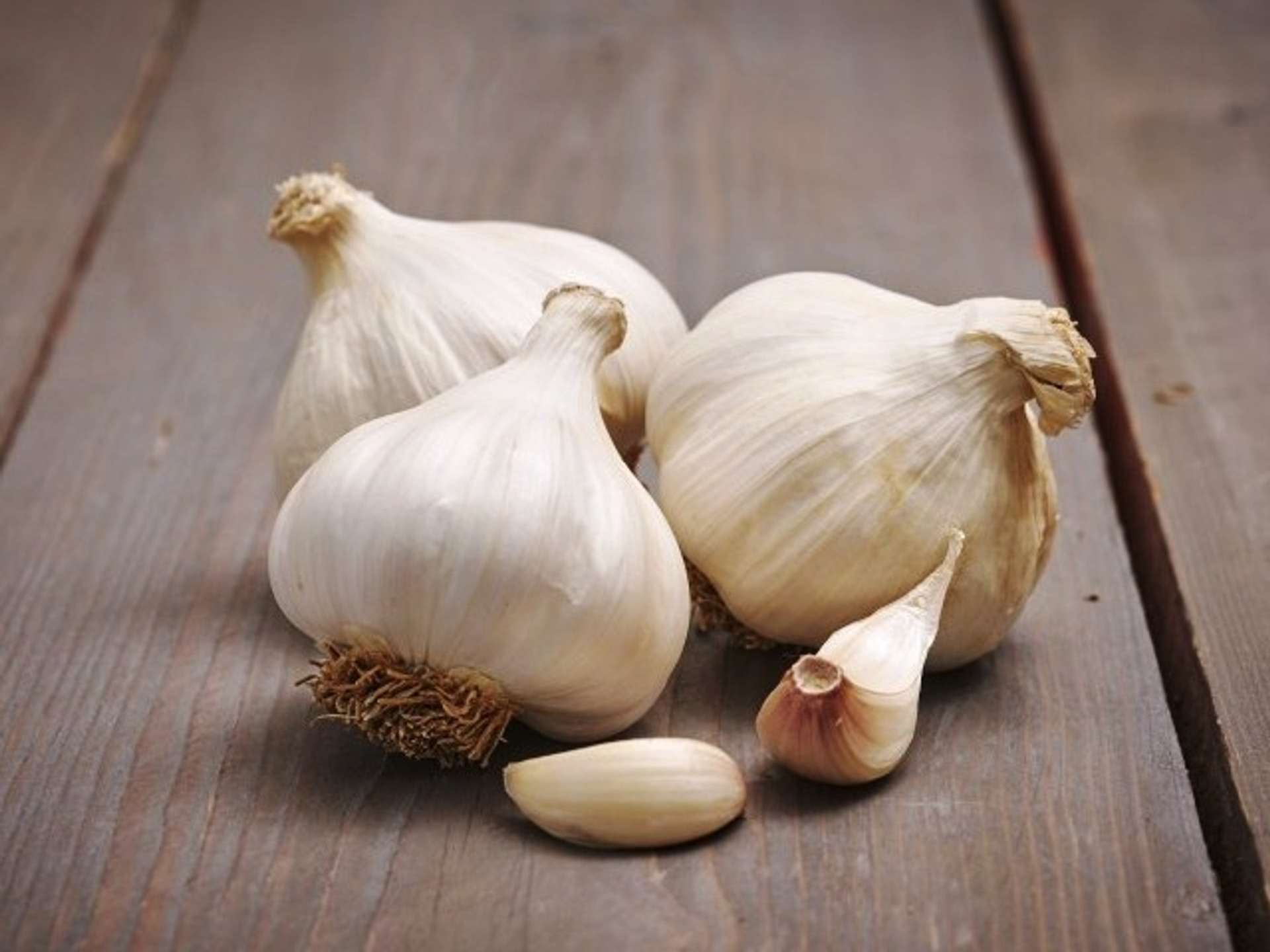 Messidrome Garlic