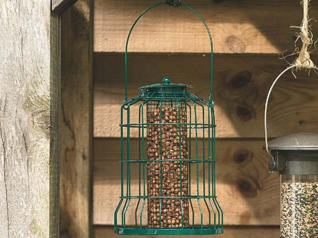 squirrel proofed bird feeder