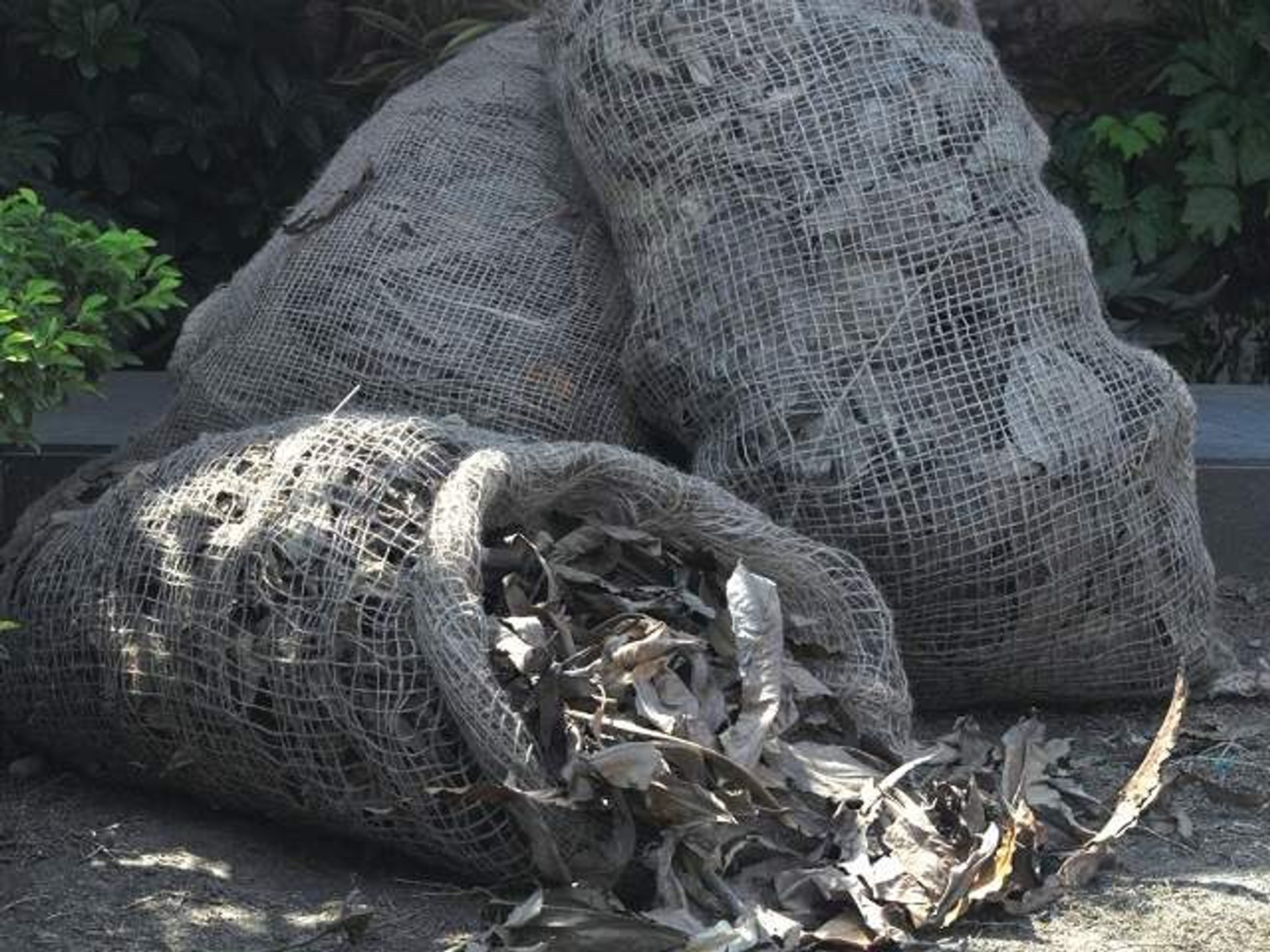 Jute leaf bags