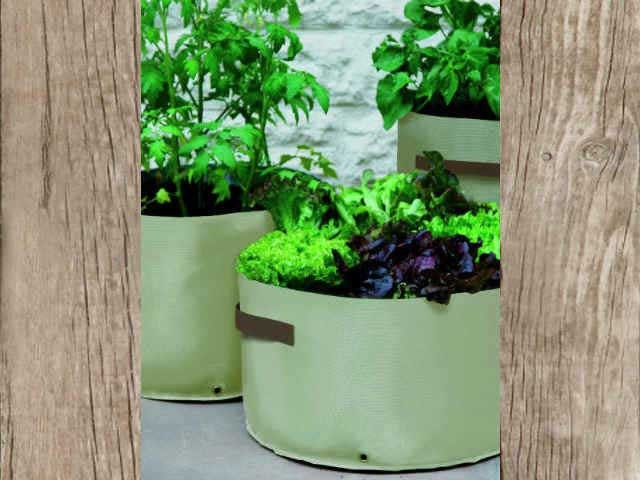 Tomato Planters 2 Pack Grow Your Own Tomatoes Anywhere