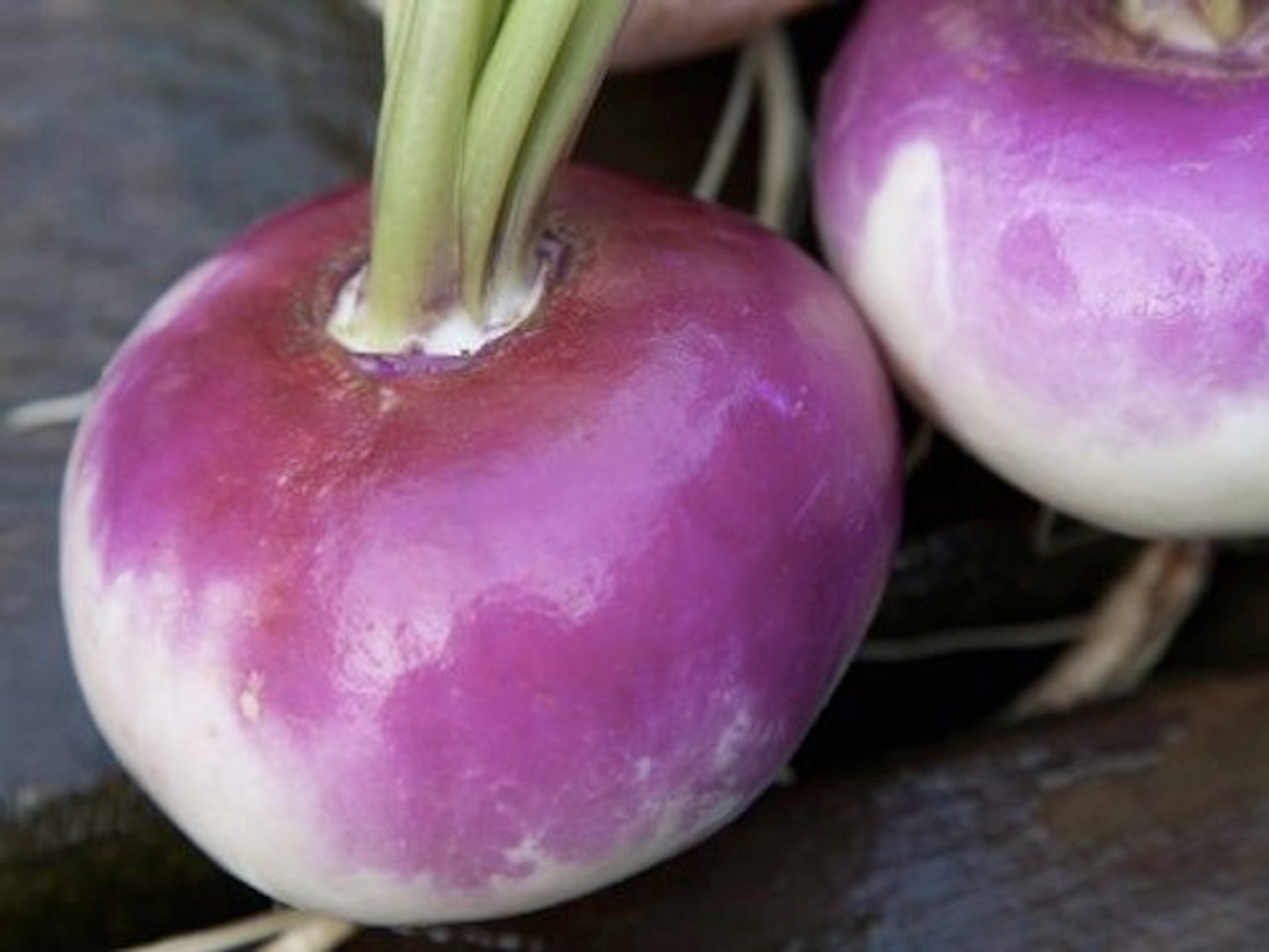 Turnip Seeds Grow Your Own 'Purple Top Milan' Turnips
