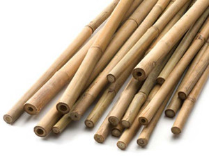bamboo canes for plant support and garden structures