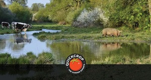 The Benefits of Rewilding 