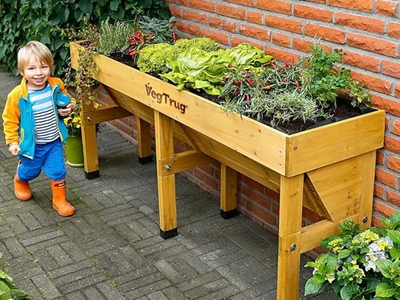 VegTrug Wall Hugger Trough Planter