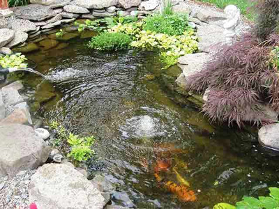EasyPond 2000 Sunken Garden Pond Kit - 4 m x 3 m