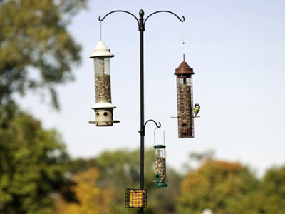 Two Way Bird Feeding Station