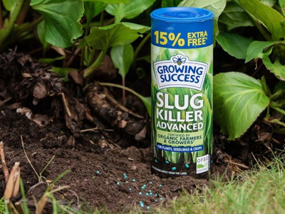 Growing Success Organic Slug Killer