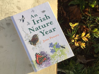 An Irish Nature Year - Jane Powers