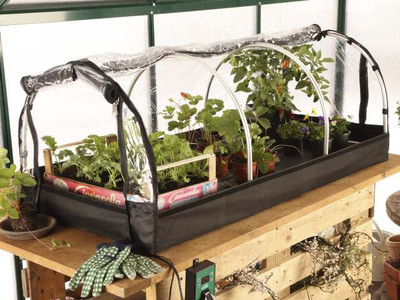 Bio Green Jumbo Propagator