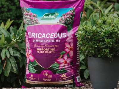 Westland Ericaceous Compost - 50 L