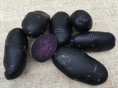 Purple Rain Seed Potatoes