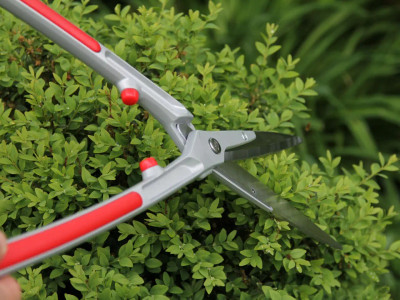 ARS Pro Hedge Shears KR1000