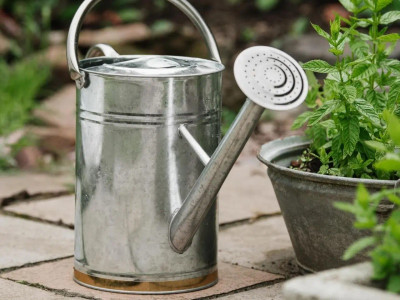 Galvanised Watering Can with Copper Trim 9l