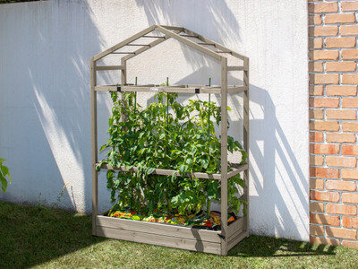 Vegtrug Tomato Greenhouse