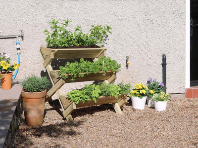 Stepped Herb Planter