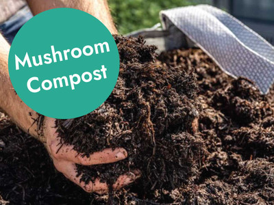 Mushroom Compost 750 L
