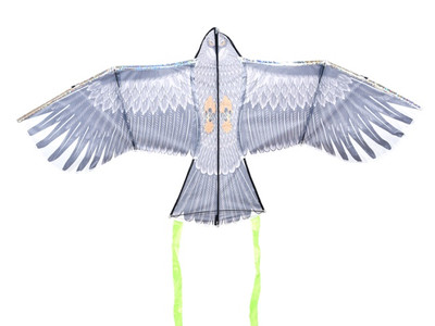 Bird Repeller Kite