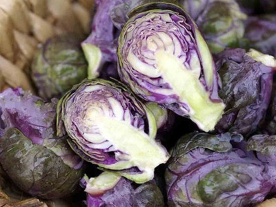 Brussels Sprout - 'Redarling F1'