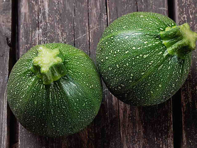 Summer Squash 'Eight Ball F1'