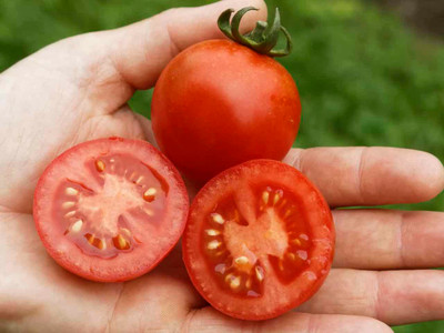 Salad Tomato 'Resibella'