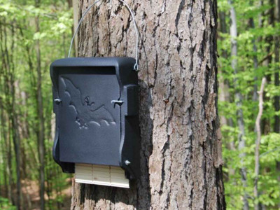 Schwegler Flat Woodcrete Bat Box - 1FF