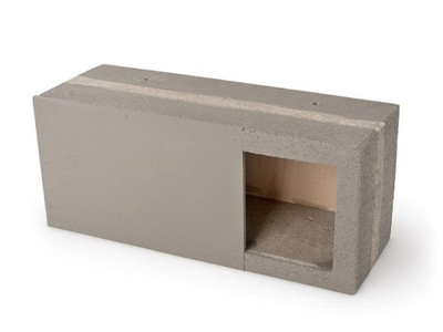 Common Swift Built-in Nesting Box - IBGZ4