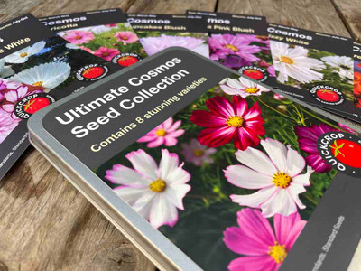 Ultimate Cosmos Seed Tin