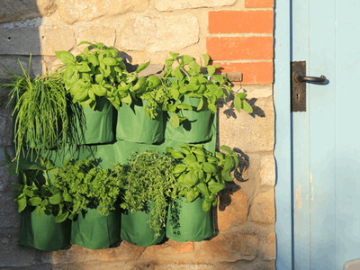 Herb Wall Planter