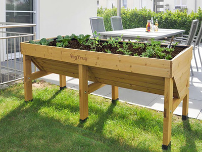 Spring Garden Kit - Raised VegTrug Planter With Vegetable Seeds