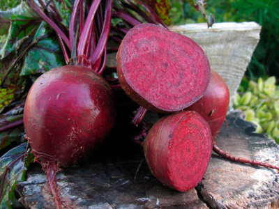 Beetroot 'Pablo F1'