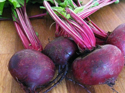 Beetroot 'Pablo F1'