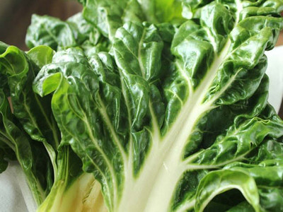 Chard 'Fordhook Giant'