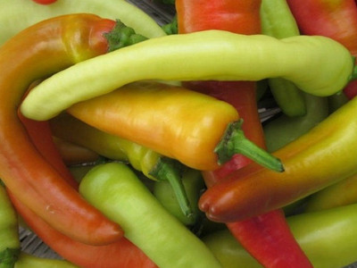 Hungarian Wax' Chilli Agio F1 Seeds