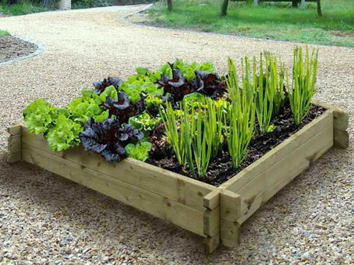 Timber raised vegetable bed