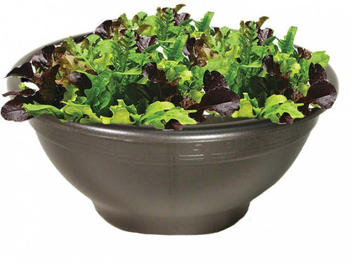 the plasticotto large bowl planter