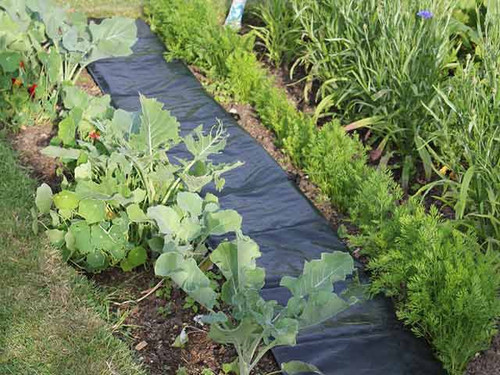 instant path way for the garden or vegetable patch