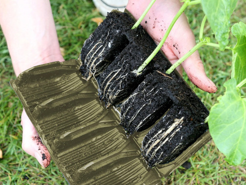 Deep Rootrainer seedling tray