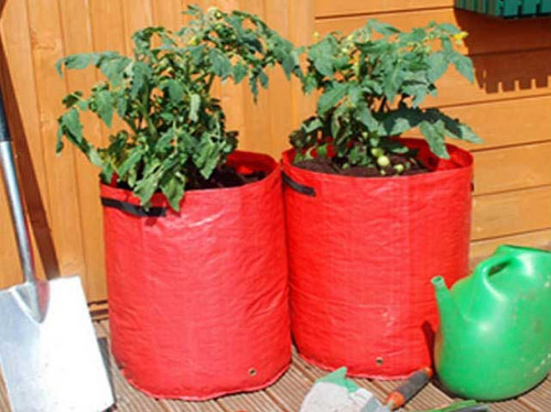 Tomato planter kits with soil and seeds