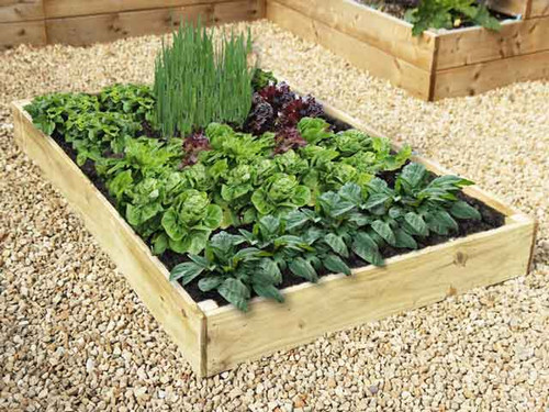 allotment 7 inch timber raised bed kits