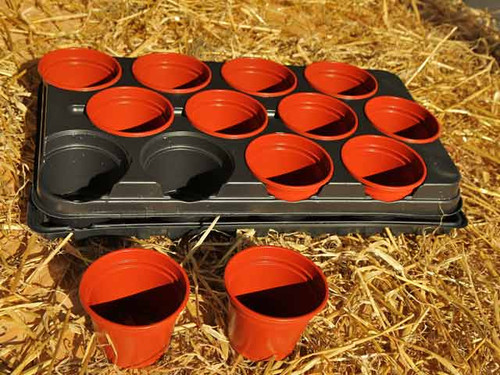plant tray with round plant pots