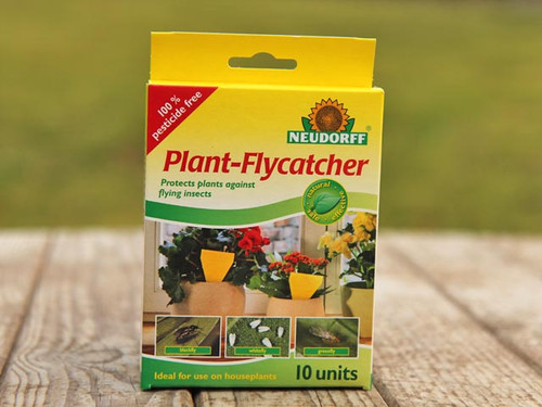 plant flycatcher chemical free pest control