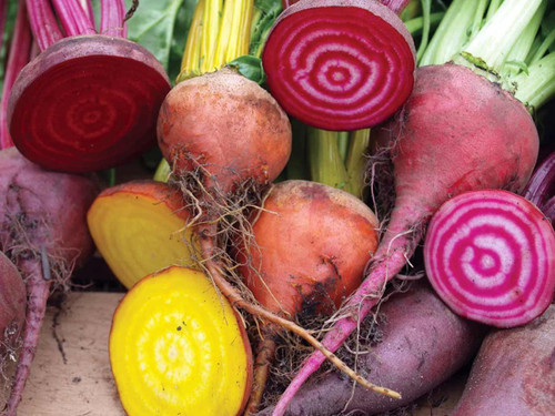 Mixed colour beetroot selection showing different skin colours and shapes