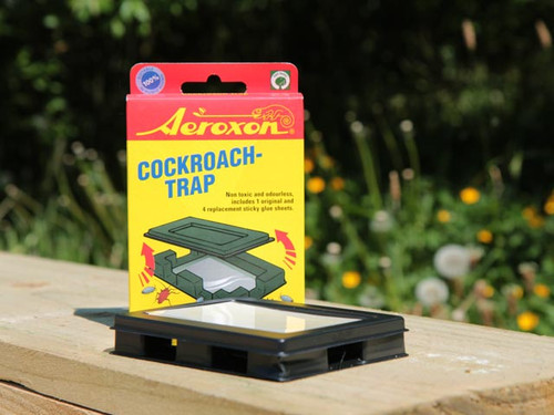 Woodlouse & Cockroach Trap