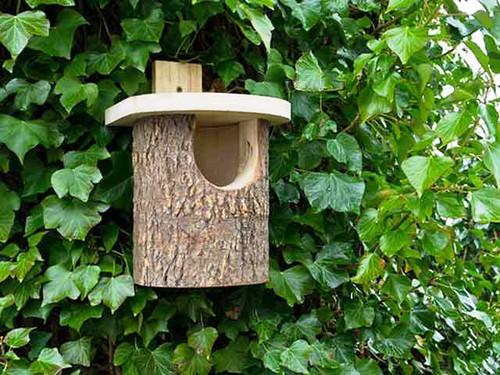 natural bark bird box