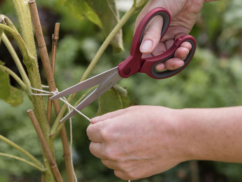 Kent and stowe stainless steel gardening scissors