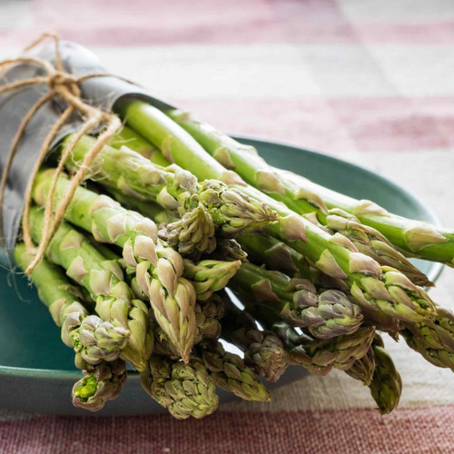 connovers collosal asparagus seeds