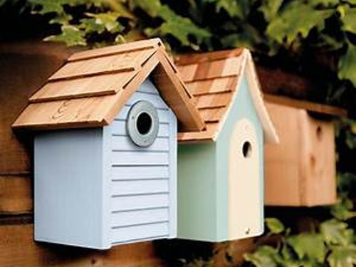 Beach Hut Nest Box in blue in the garden