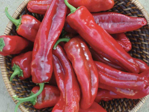 Sweet Pepper - Corno Rosso seeds